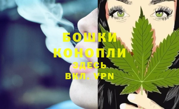 амф Корсаков