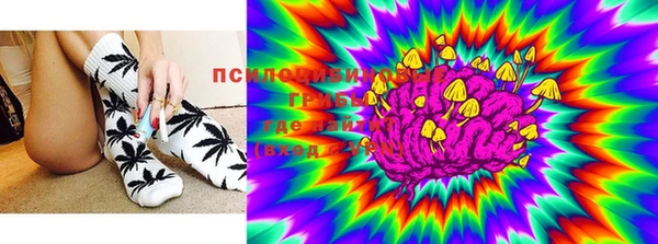 ALPHA PVP Коряжма