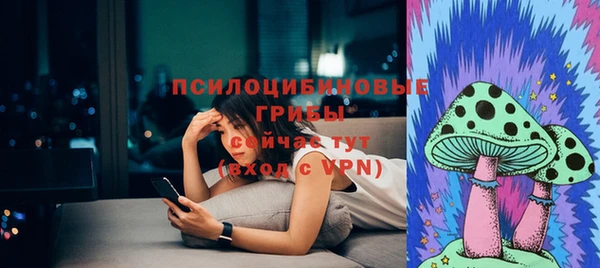 эйфоретик Абинск