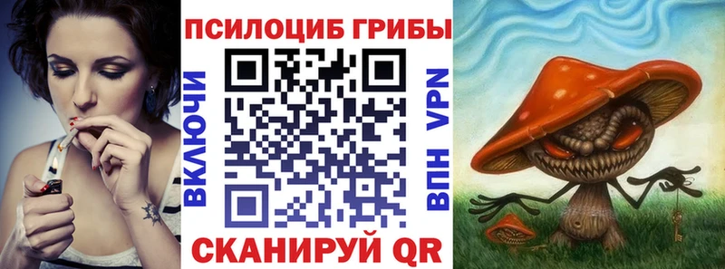 где купить   Юрюзань  ОМГ ОМГ ТОР  Галлюциногенные грибы ЛСД 